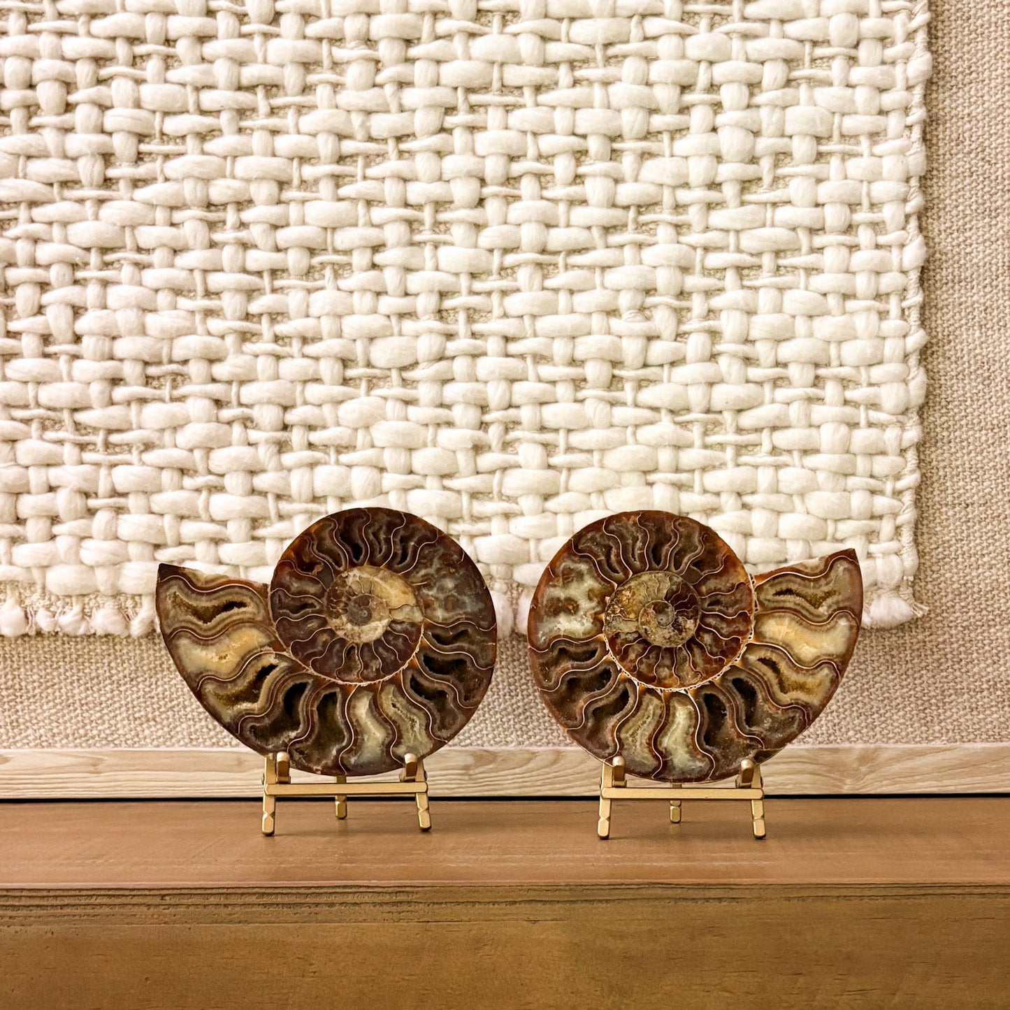 Luxury Madagascar ammonite fossil pair polished symmetrical halves display