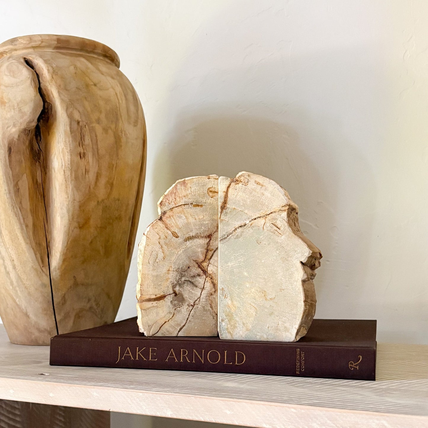 natural fossilized wood bookend pair