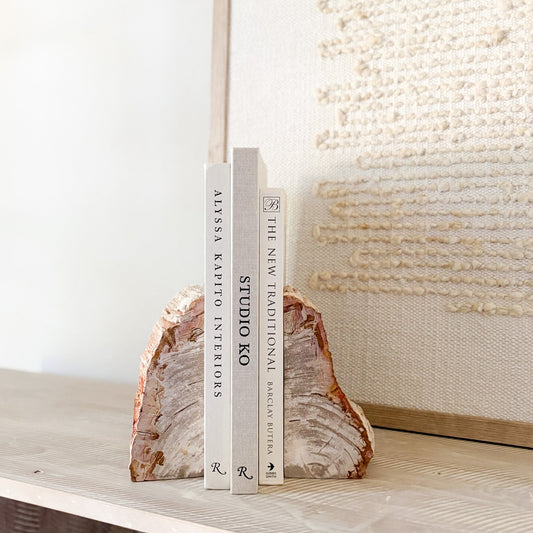 fossilized wood bookend pair
