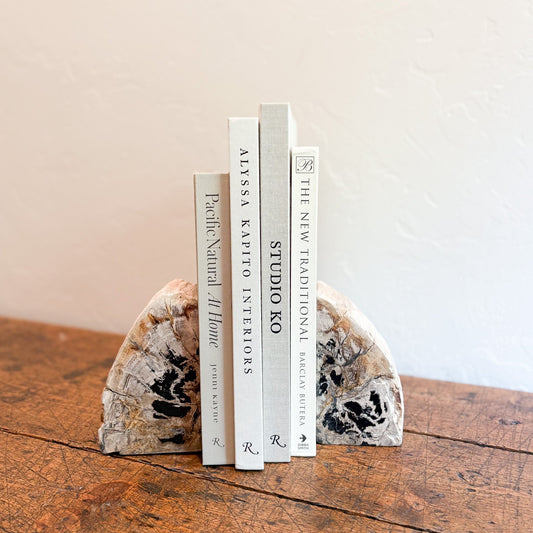Decorative fossilized wood bookends with books on a wooden surface against a neutral background