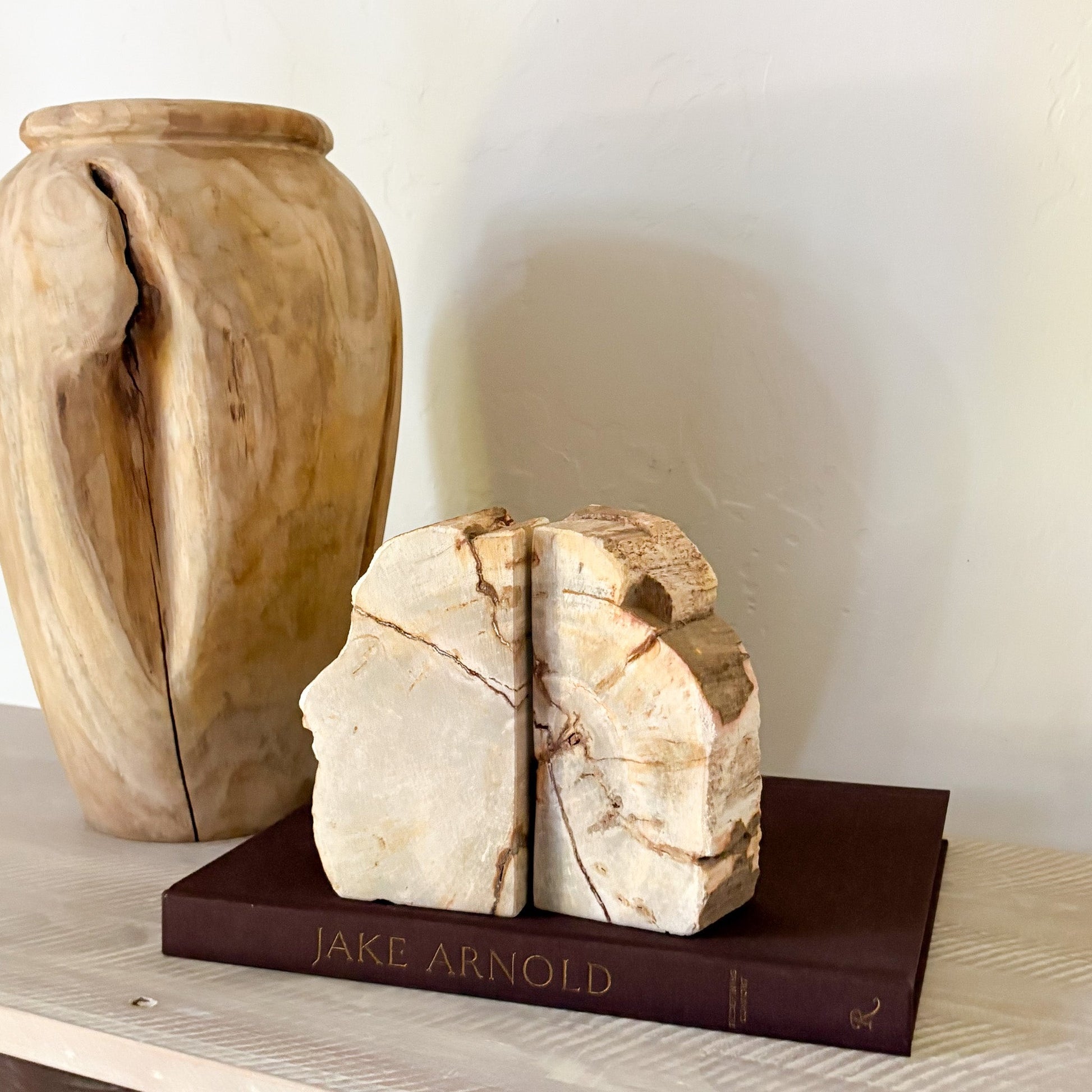 fossilized wood bookends