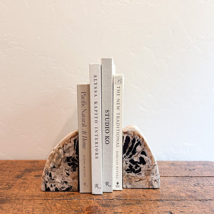 Fossilized wood bookend pair, natural office decor
