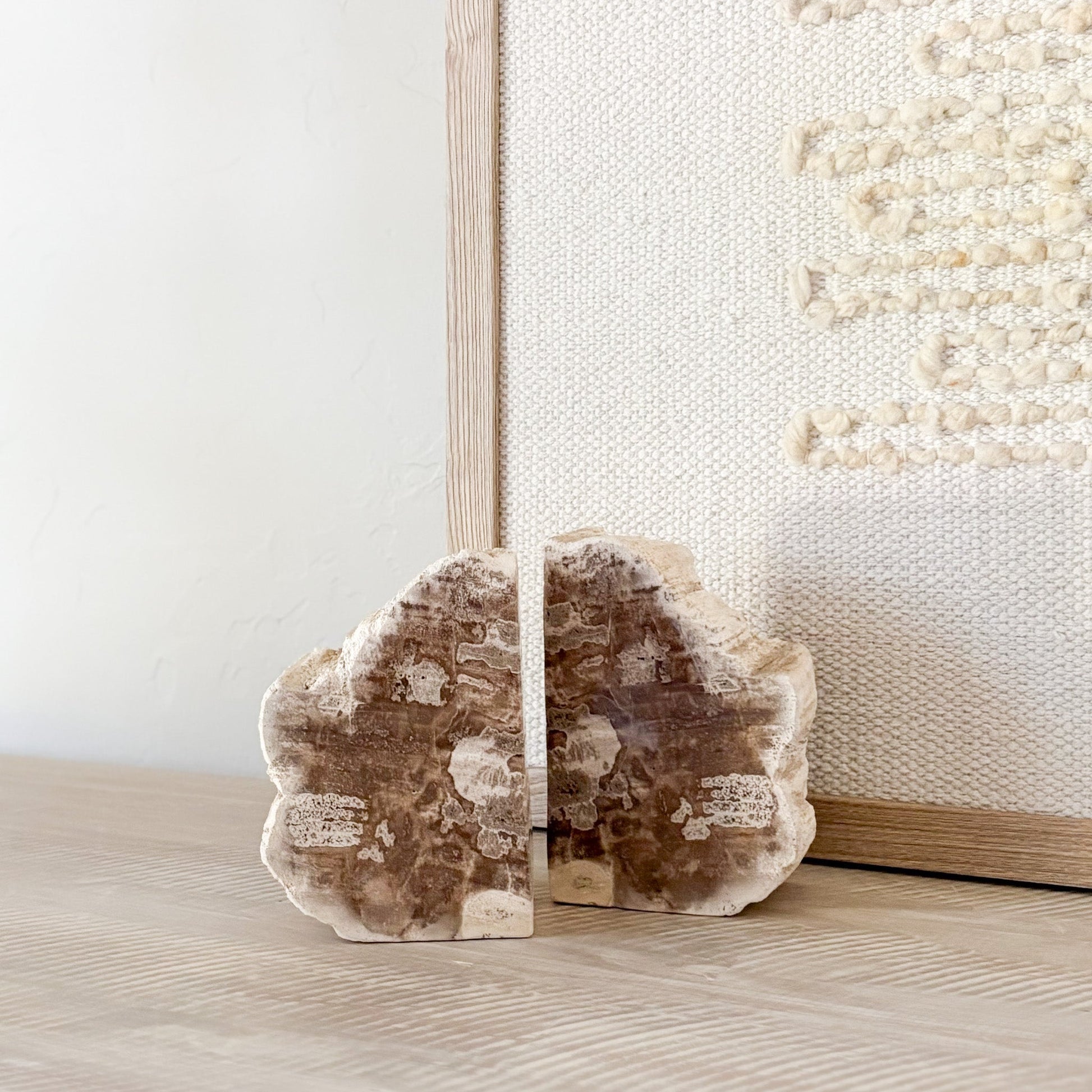 decorative fossilized wood bookend pair