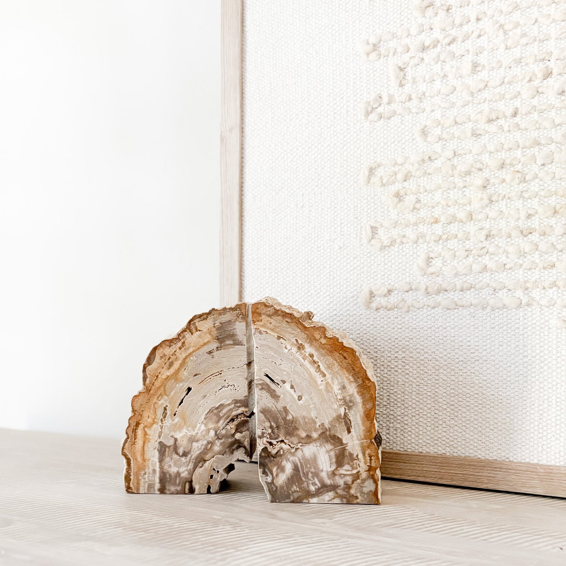decorative fossilized wood bookend pair
