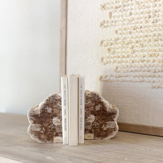 fossilized wood bookend pair