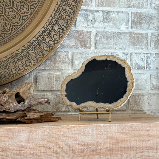 decorative fossilized wood slab on brass easel stand