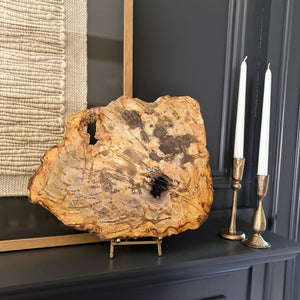 decorative petrified wood slab, organic home accents