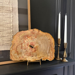 decorative petrified wood slab on stand, natural home accents