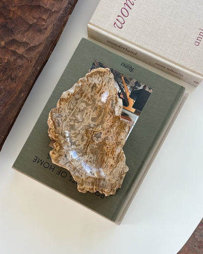 Natural Indonesian petrified wood decorative bowl with organic texture and rich neutral colors