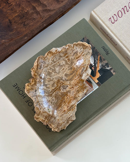 Small Indonesian petrified wood decorative bowl with natural wood grain and earthy tones