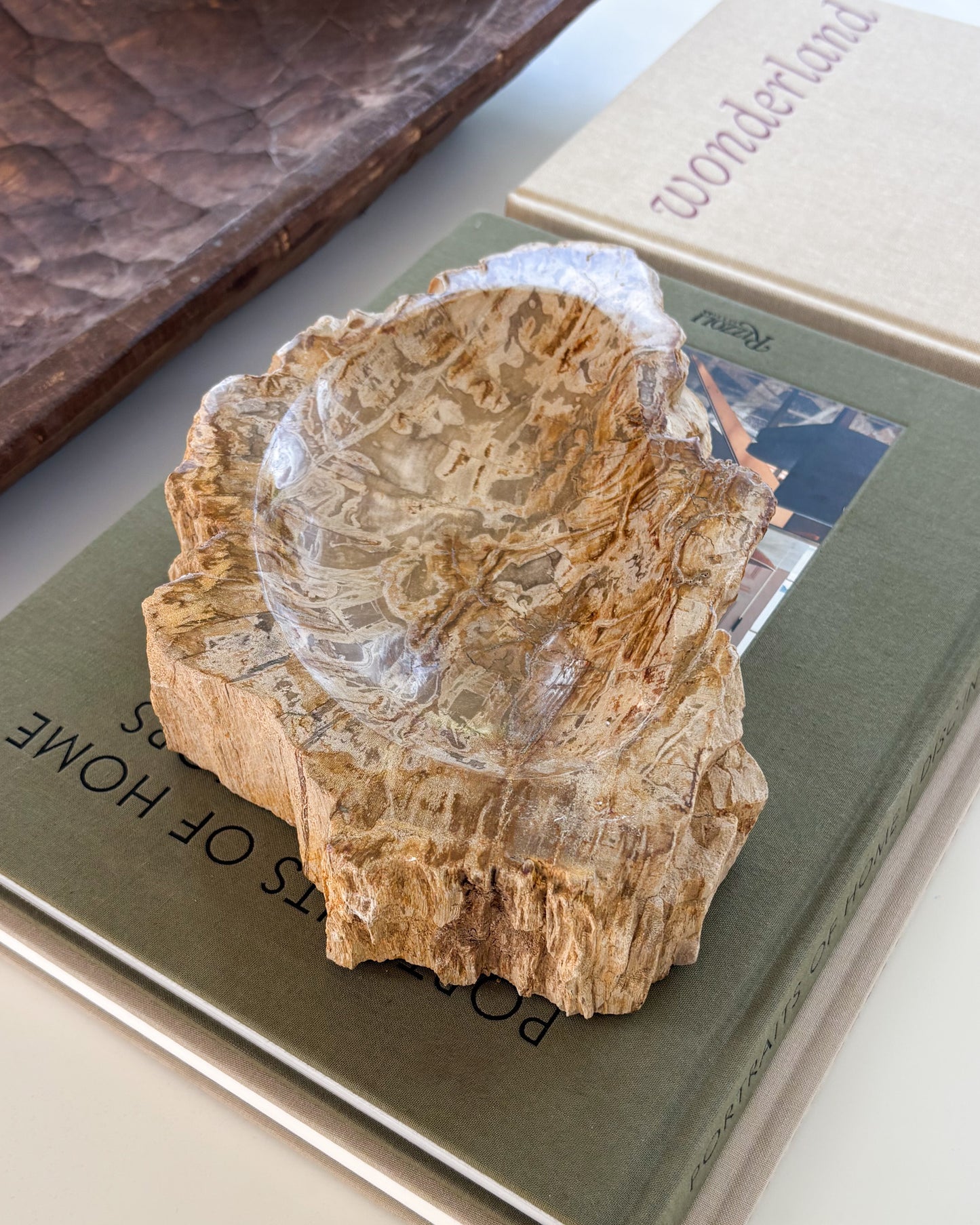 Hand-carved Indonesian petrified wood bowl showcasing unique fossilized wood patterns
