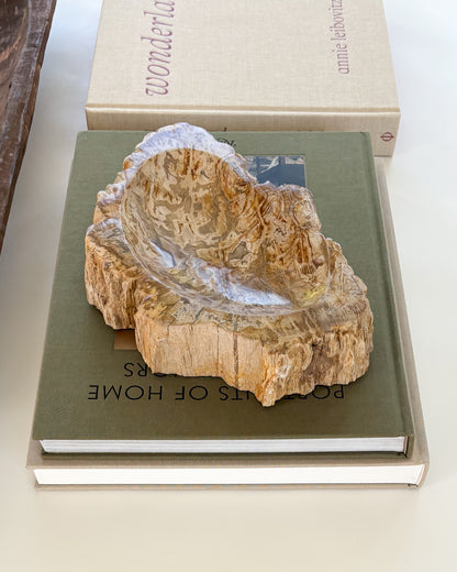 Small fossilized wood bowl crafted from genuine Indonesian petrified wood