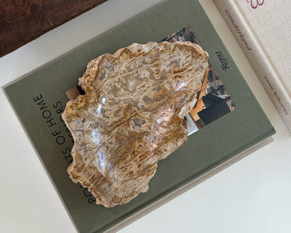Decorative petrified wood bowl featuring distinctive natural grain and polished finish