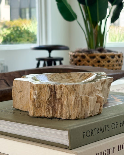 Artisan-crafted Indonesian petrified wood bowl for modern organic home décor
