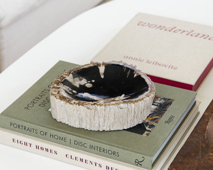 petrified wood bowl for modern organic home décor
