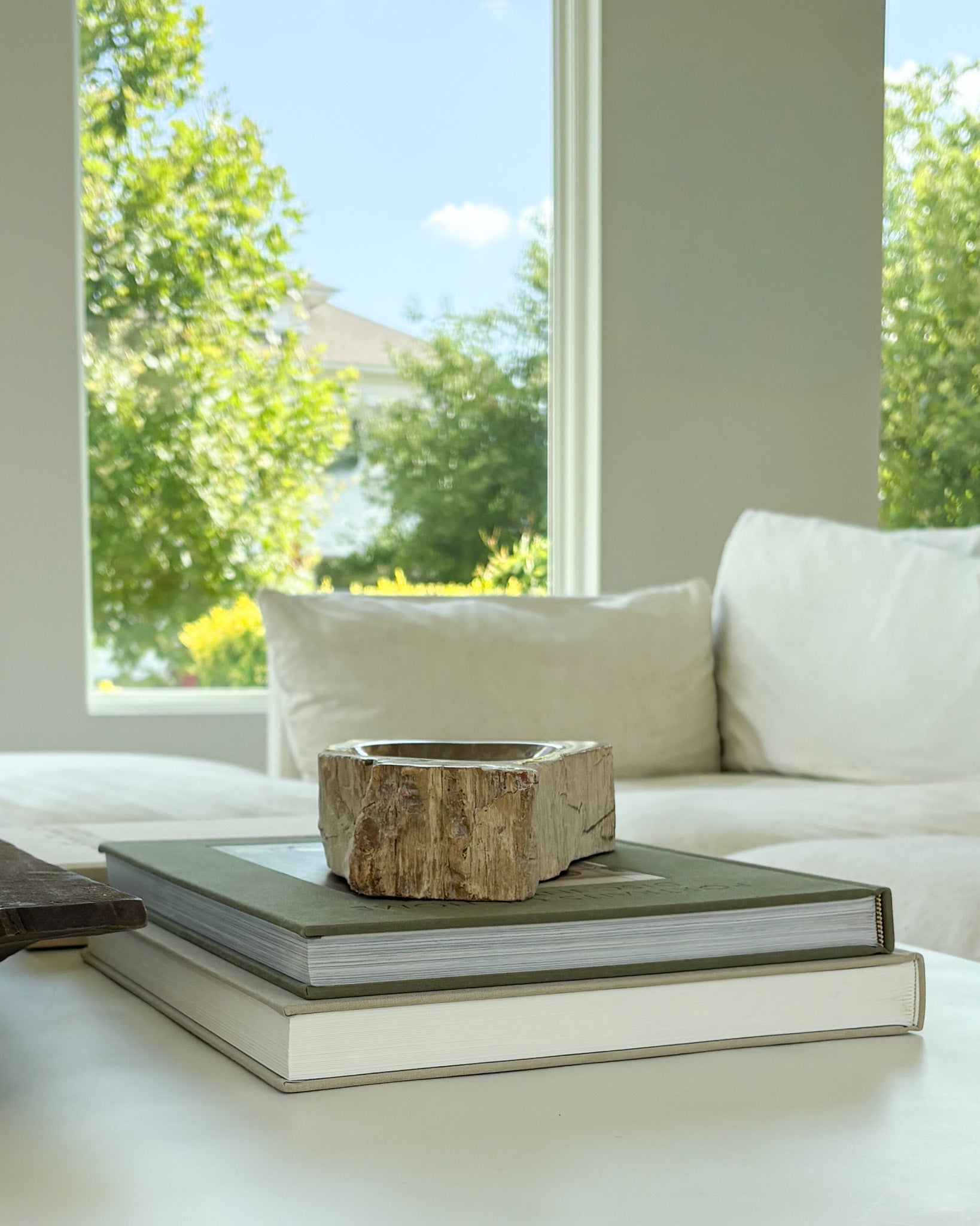 Natural Indonesian petrified wood decorative bowl with organic texture and rich neutral colors