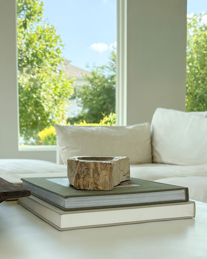 Natural Indonesian petrified wood decorative bowl with organic texture and rich neutral colors