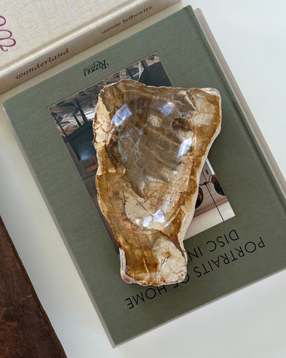 One-of-a-kind petrified wood bowl handcrafted from fossilized wood in Indonesia