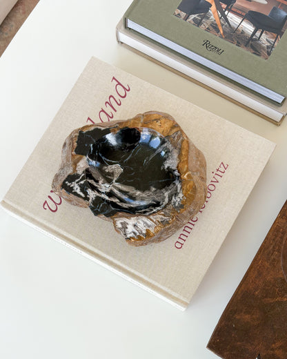 Decorative petrified wood bowl featuring distinctive natural grain and polished finish