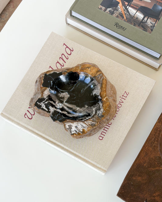 Decorative petrified wood bowl featuring distinctive natural grain and polished finish