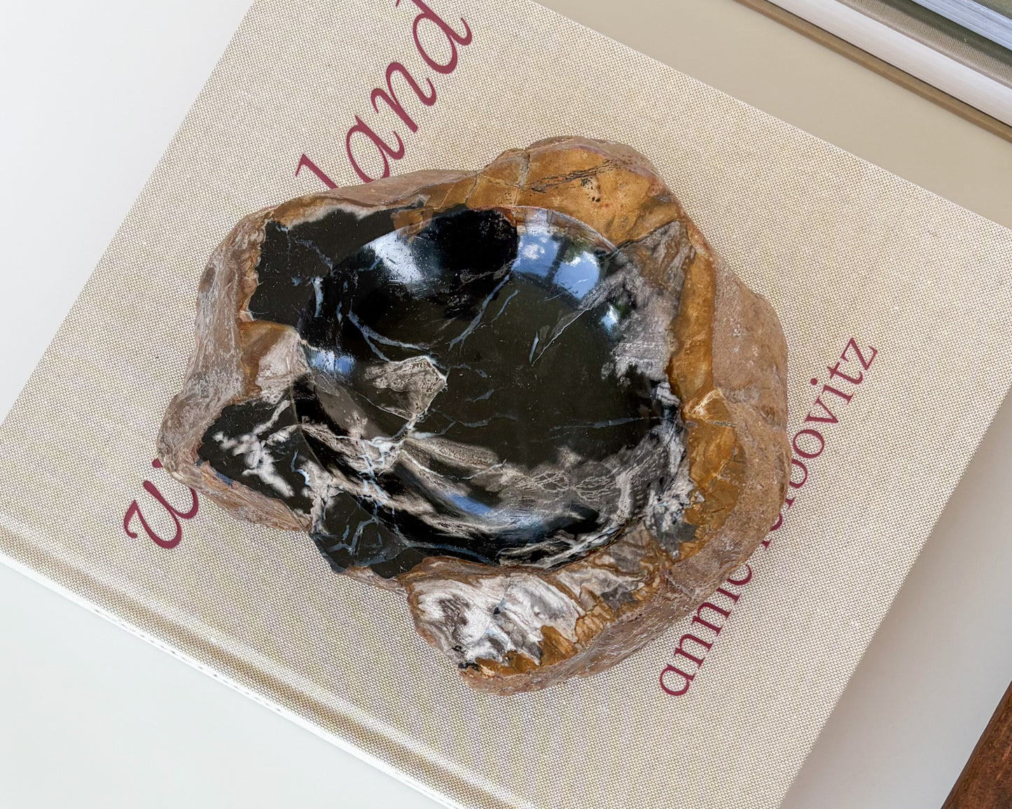 Genuine petrified wood bowl with naturally preserved wood grain and warm earth tones