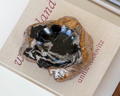 Genuine petrified wood bowl with naturally preserved wood grain and warm earth tones