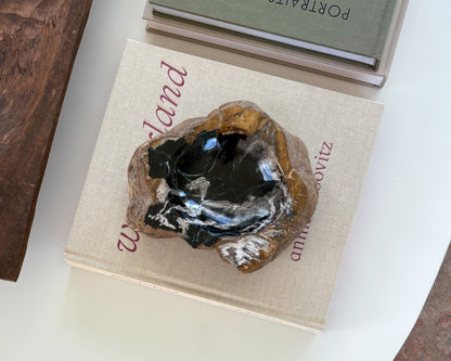 Natural stone decorative bowl made from authentic Indonesian petrified wood