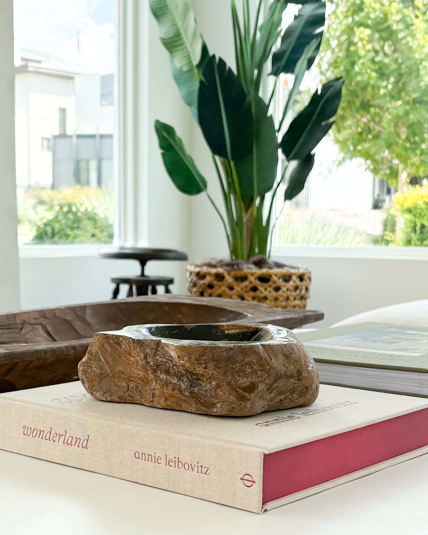 Unique Indonesian petrified wood accent bowl for coffee table or console styling