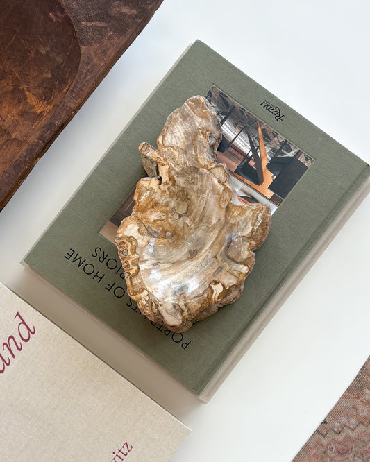 Small Indonesian petrified wood decorative bowl with natural fossilized wood grain and earthy tones.