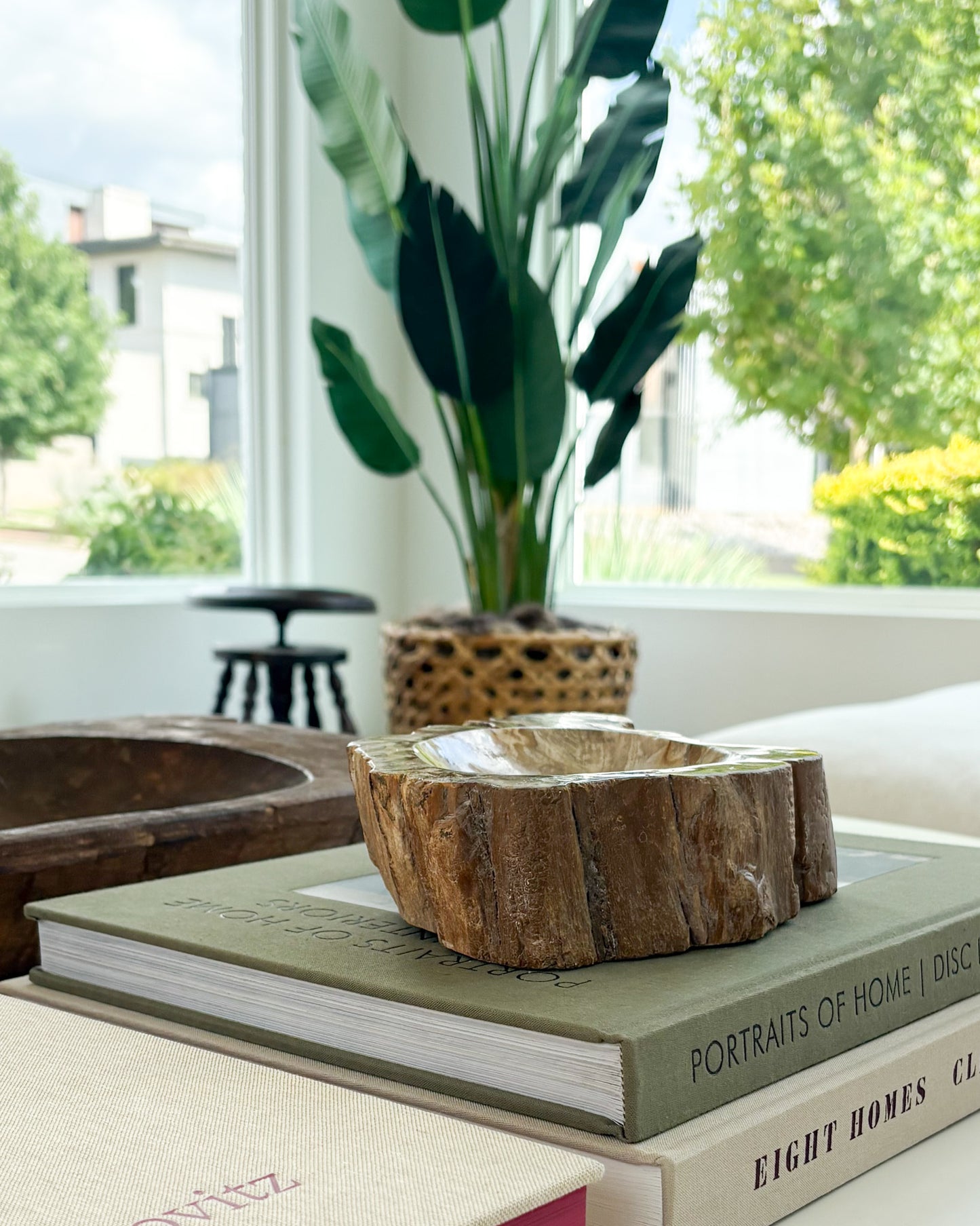Hand-carved Indonesian petrified wood bowl showcasing unique fossilized wood patterns
