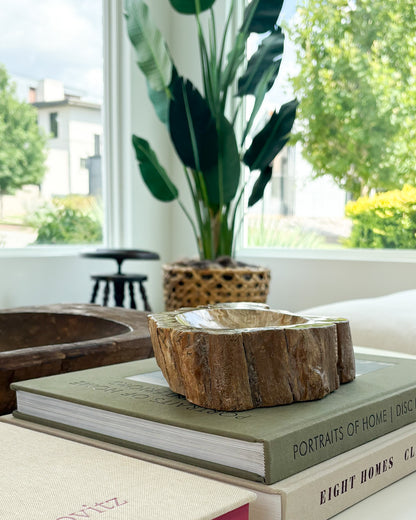 Hand-carved Indonesian petrified wood bowl showcasing unique fossilized wood patterns
