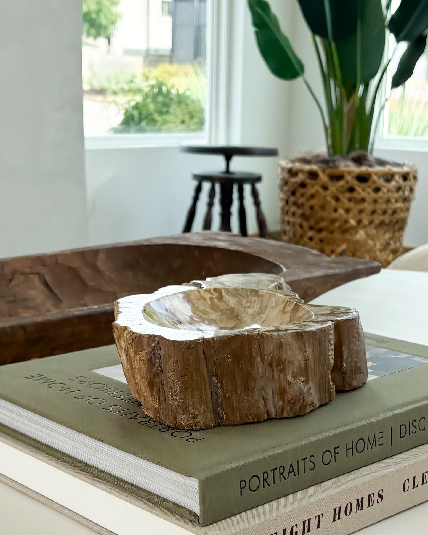 Natural Indonesian petrified wood decorative bowl with organic texture and rich neutral colors