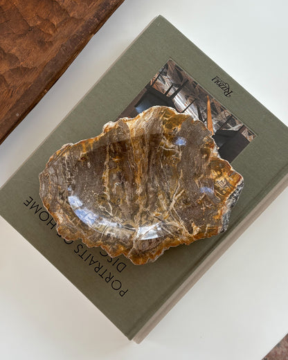 Decorative petrified wood bowl featuring distinctive natural grain and polished finish