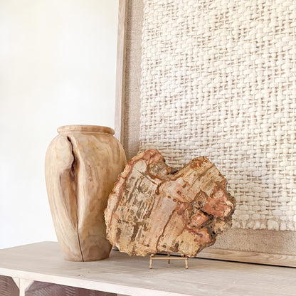 petrified wood home accents
