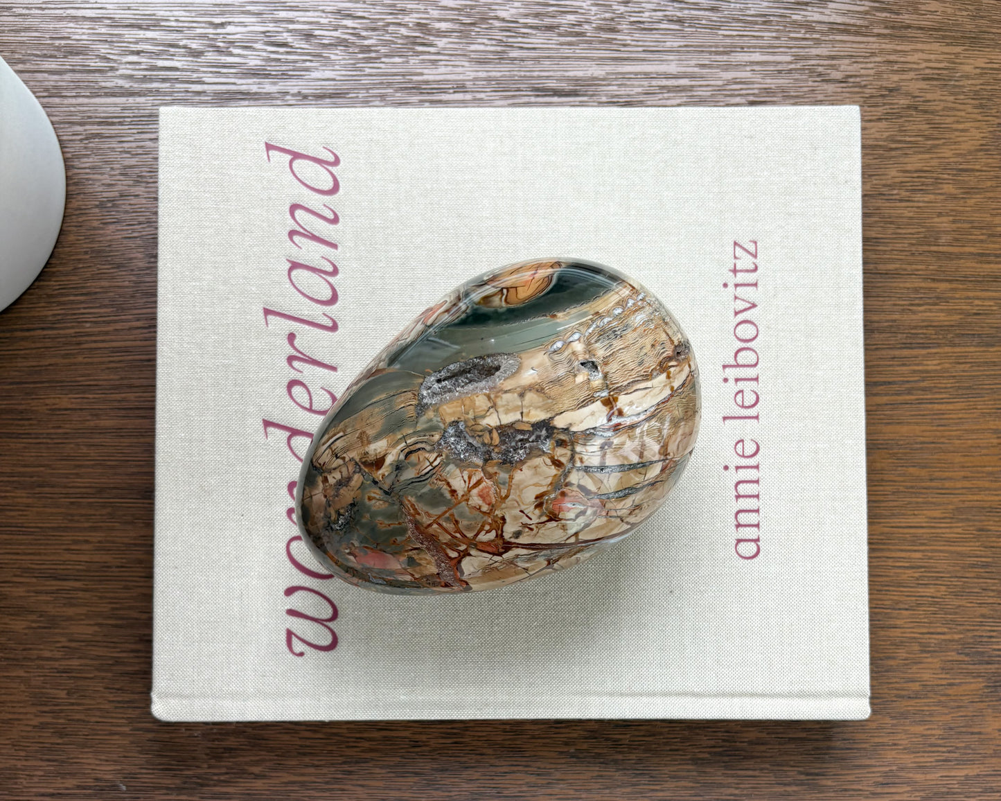 Premium Ibis Jasper egg with striking natural color variation and polished surface