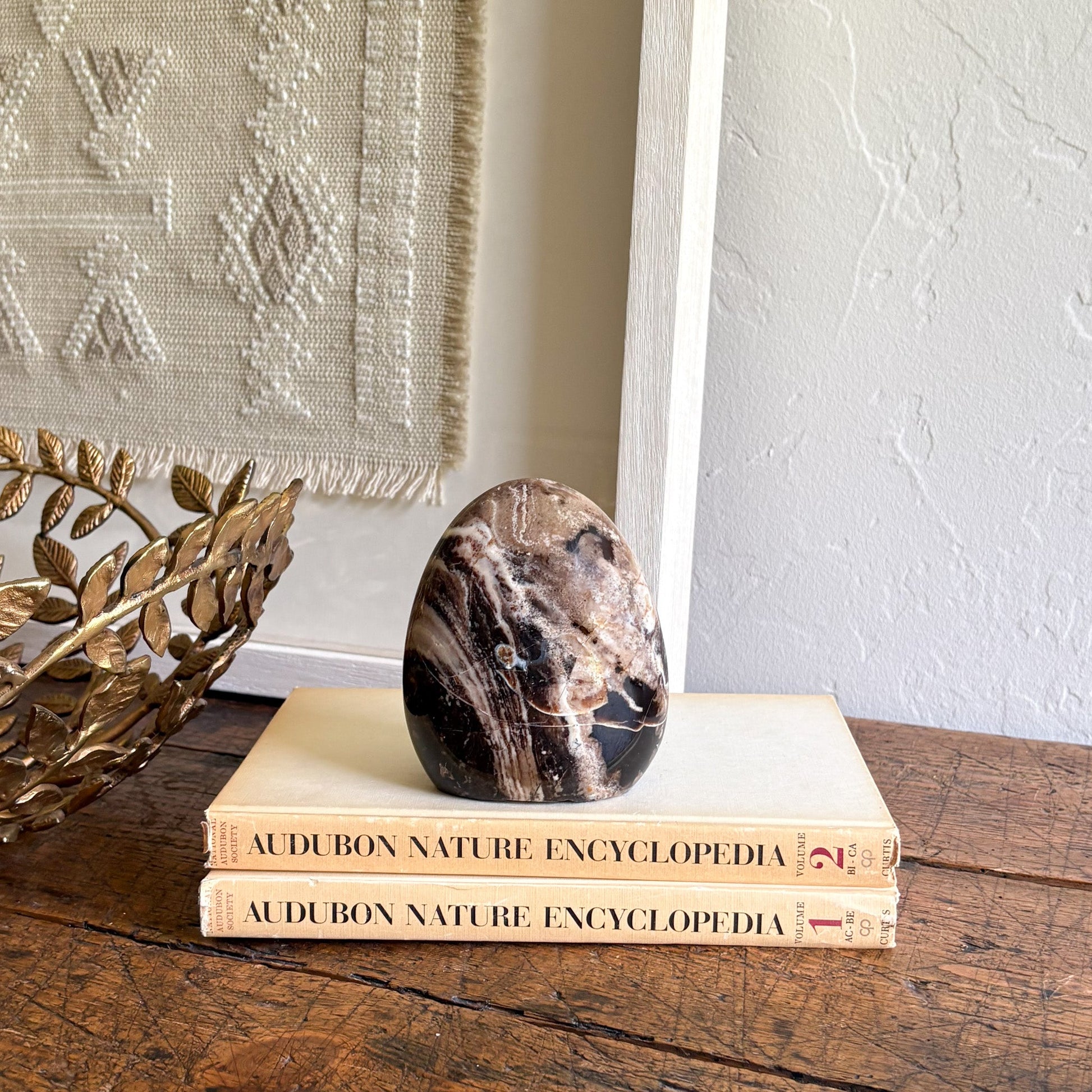 Decorative stone on top of two 'Audubon Nature Encyclopedia' books with a gold leafy object and textured wall in the background.