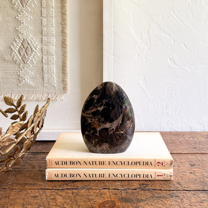 Decorative stone on top of Audubon Nature Encyclopedia books with a textured wall and gold leaf decor in the background.