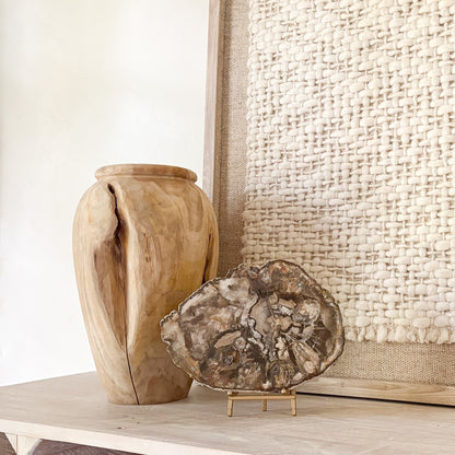 petrigified wood home accents
