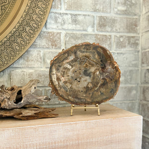 decorative petrified wood slab on brass easel stand