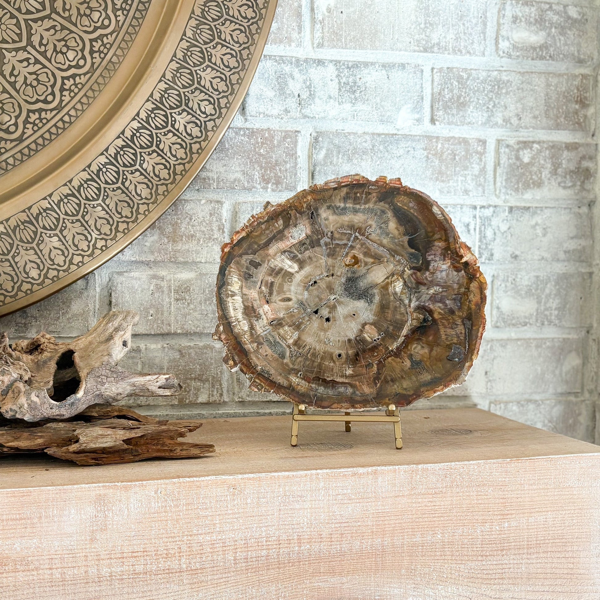decorative petrified wood slab on brass easel stand