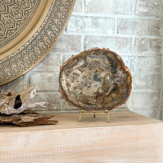 decorative petrified wood slab on brass easel stand