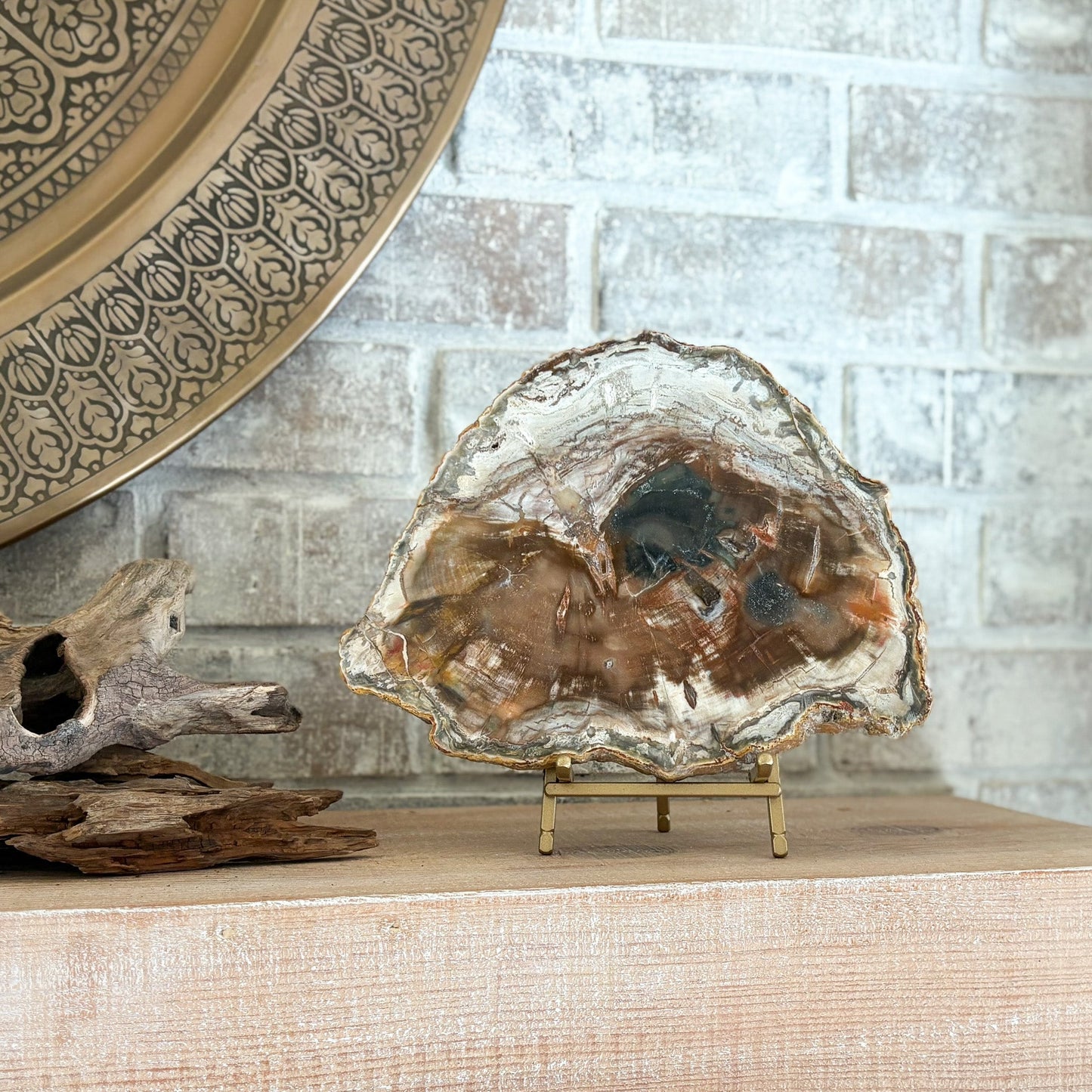 decorative fossilized wood slab on brass easel stand