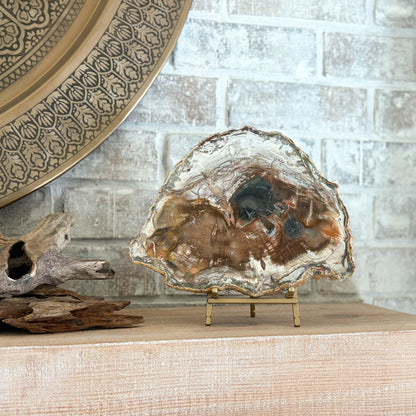 decorative fossilized wood slab on brass easel stand