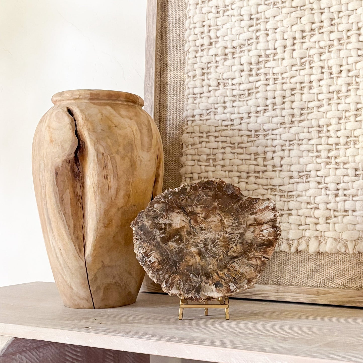 petrified wood decorative accents
