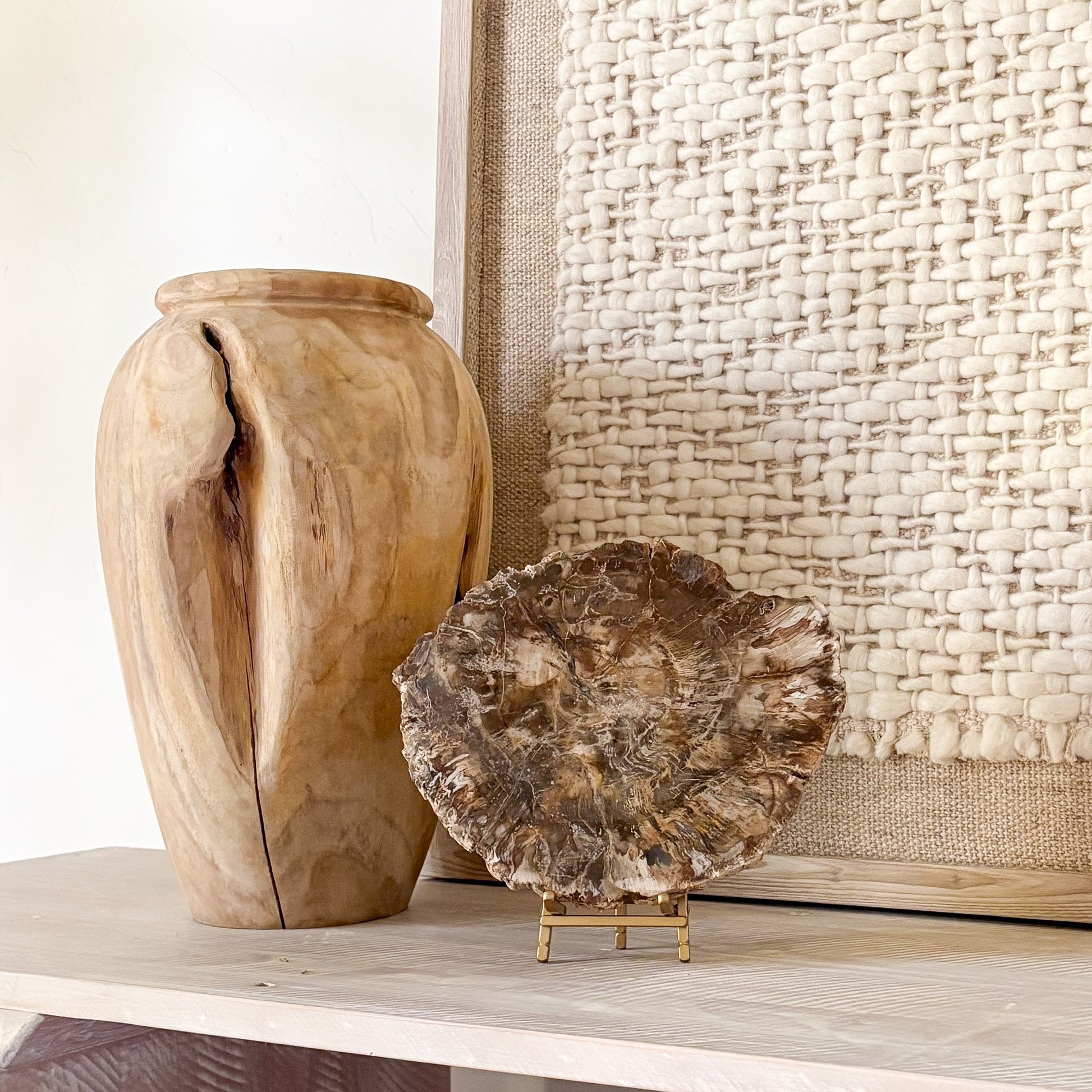 petrified wood decorative accents