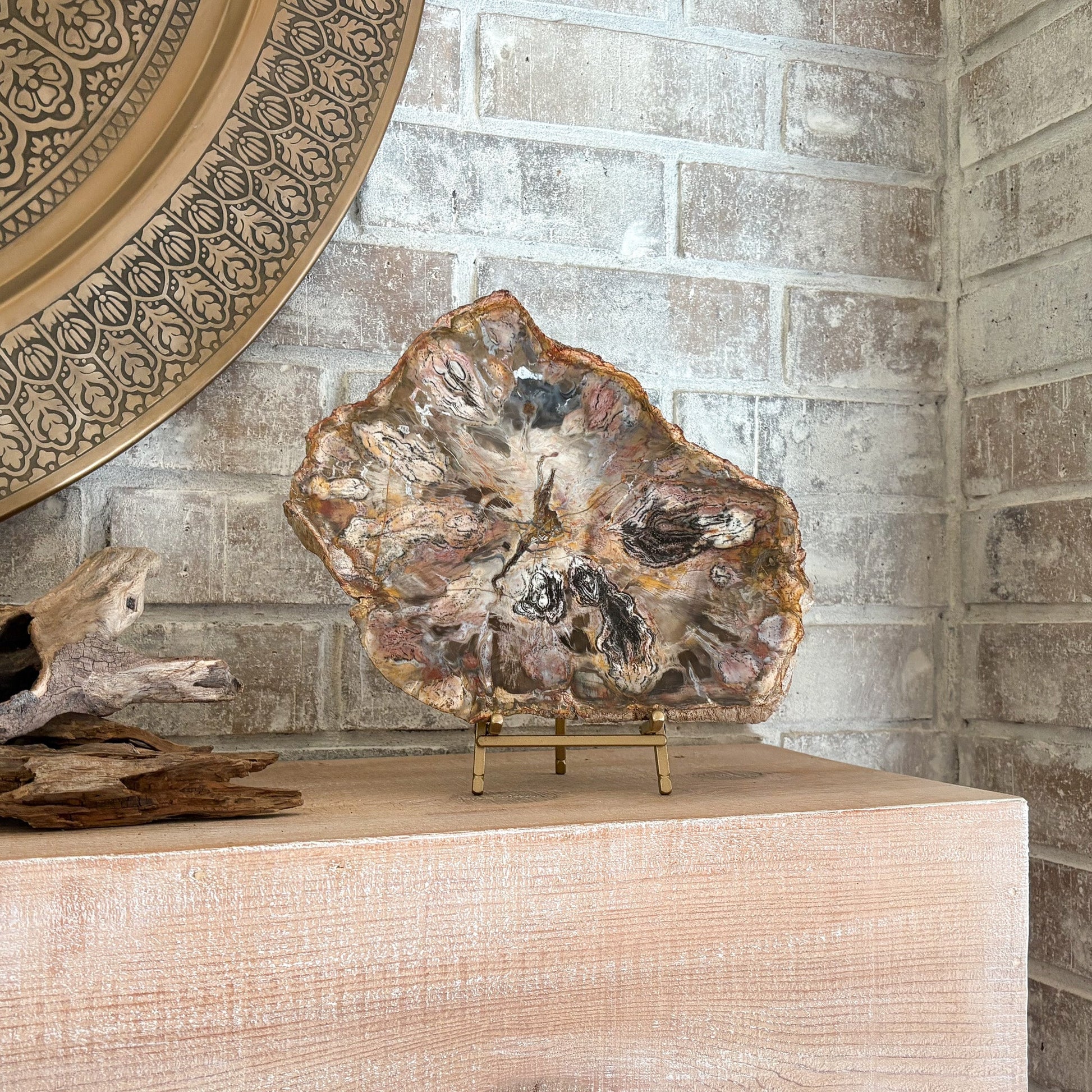 decorative petrified wood slab on brass easel stand