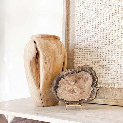 petrified wood home accents