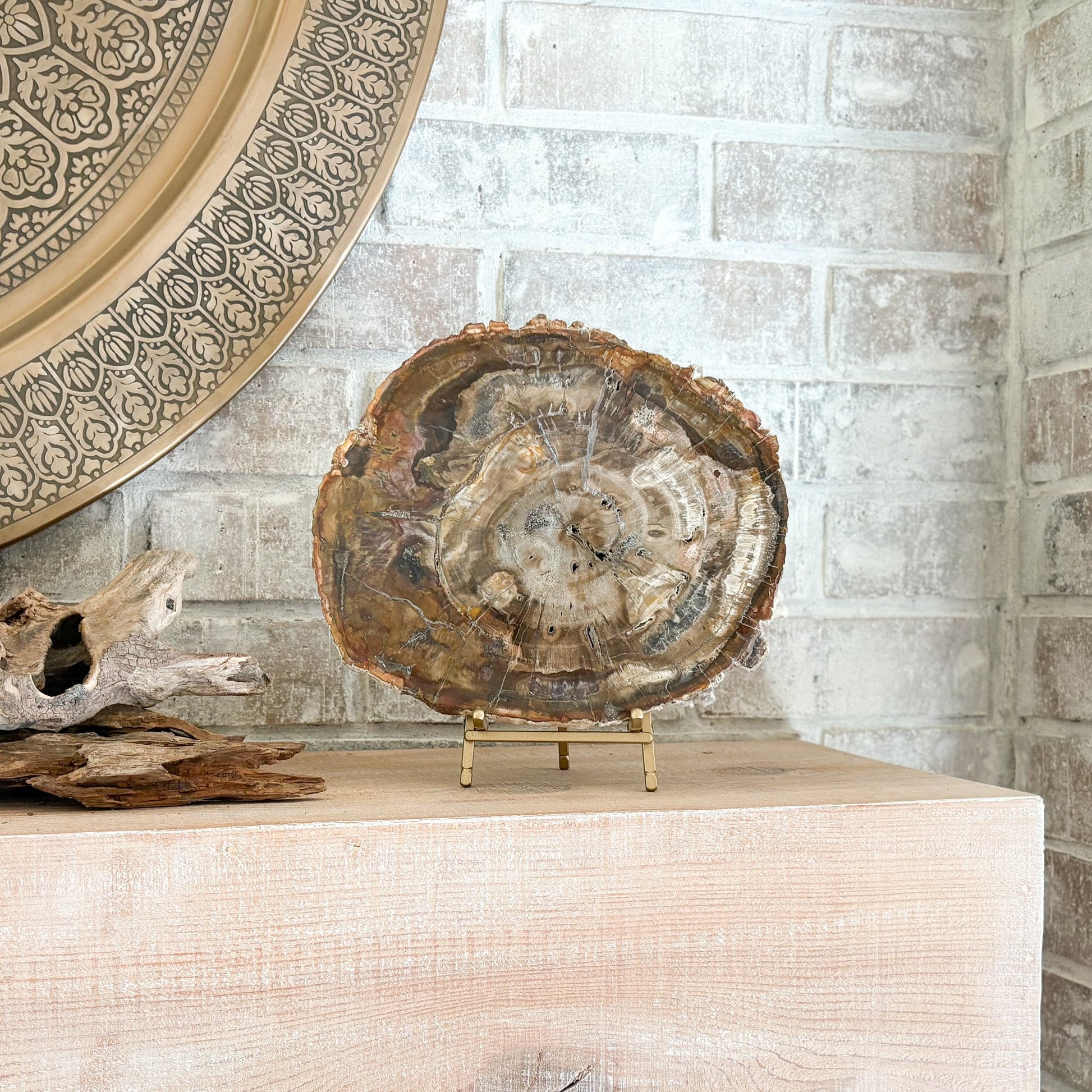 petrified wood decorative object, neutral home accents