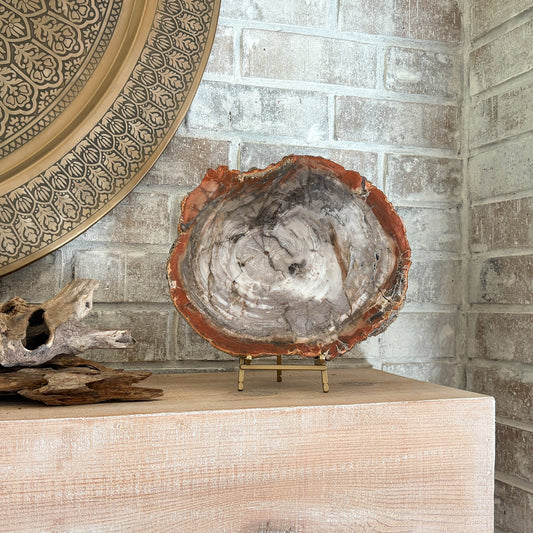 decorative indonesian petrified wood slab on brass easel stand