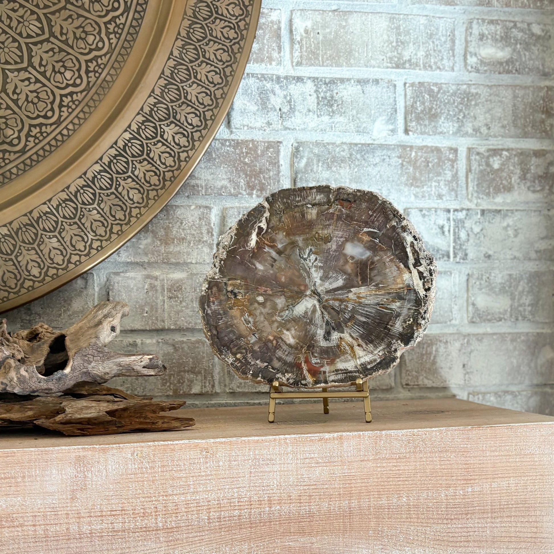 petrified wood decorative object